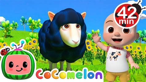 cocomelon baa baa black sheep|cocomelon baa black sheep videos.